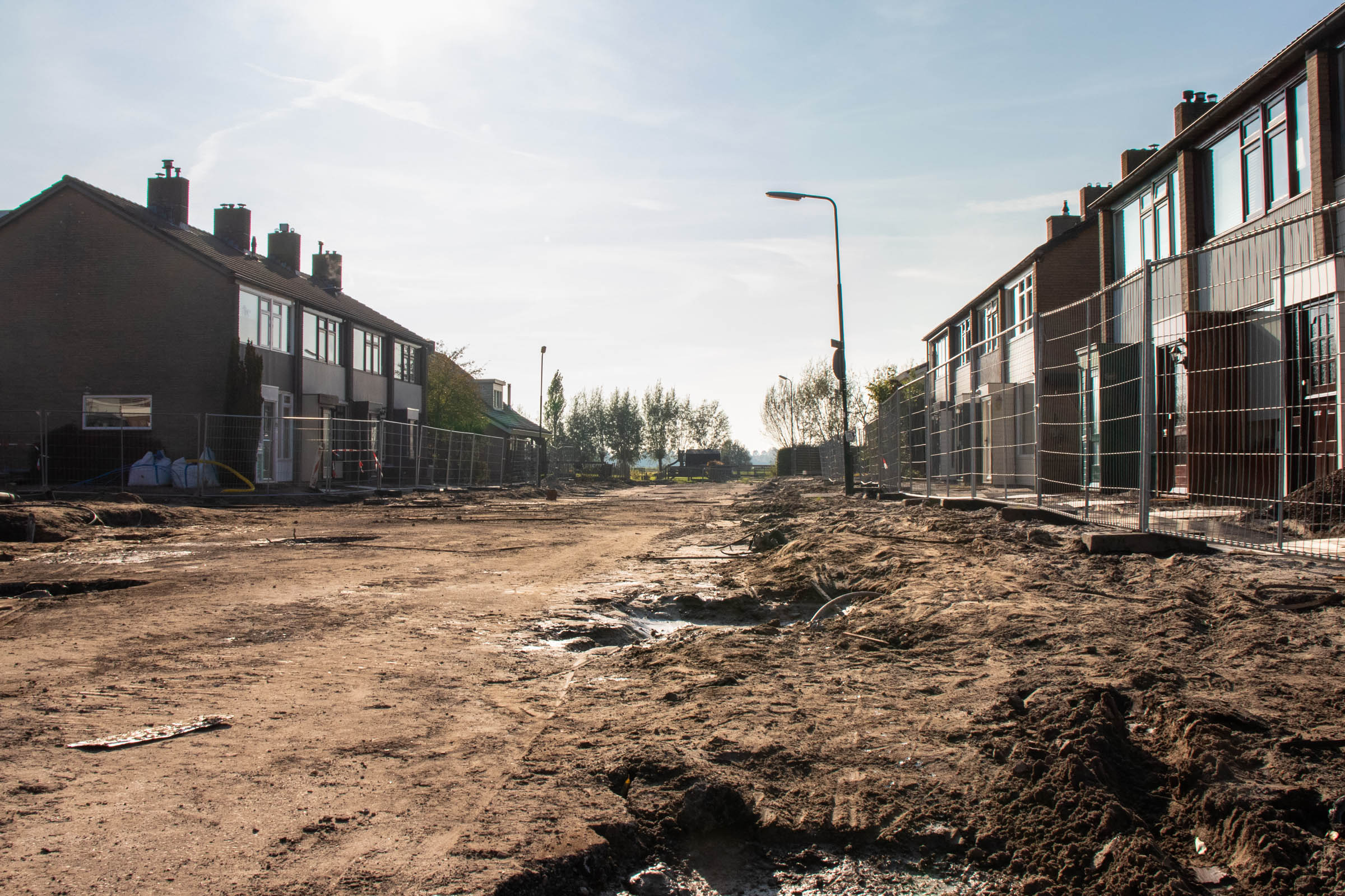 Consultancy and engineering firms